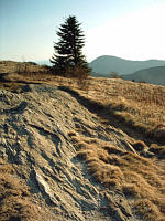 The trail to Black Balsam Knob travels across unique and interesting mountain balds.