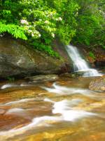 Graveyard Fields Falls