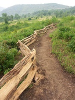 Trail Through Graveyard Fields