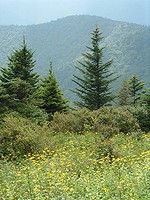 View from the fields below Potato Knob
