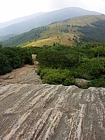 View of the Balds of Roan.