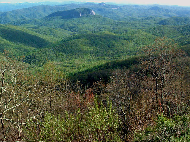 Looking Glass Rock in Spring