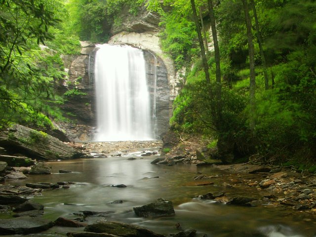 Pisgah National Forest