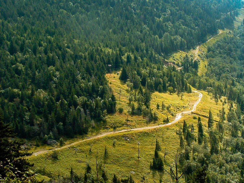 View of Camp Alice from the Old Mitchell trail