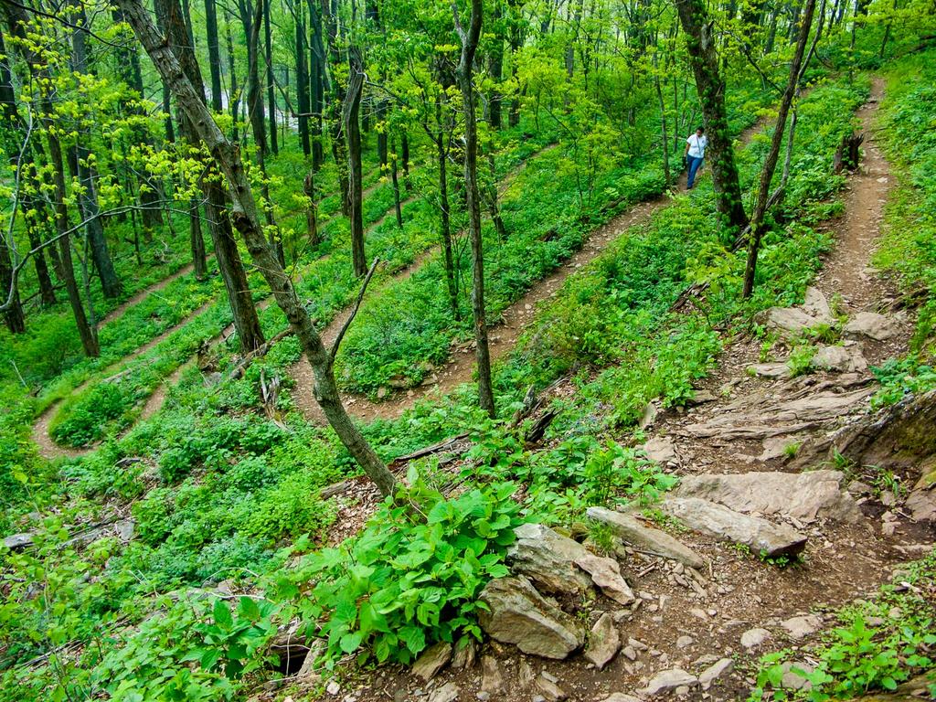 Climbing the Switchbacks