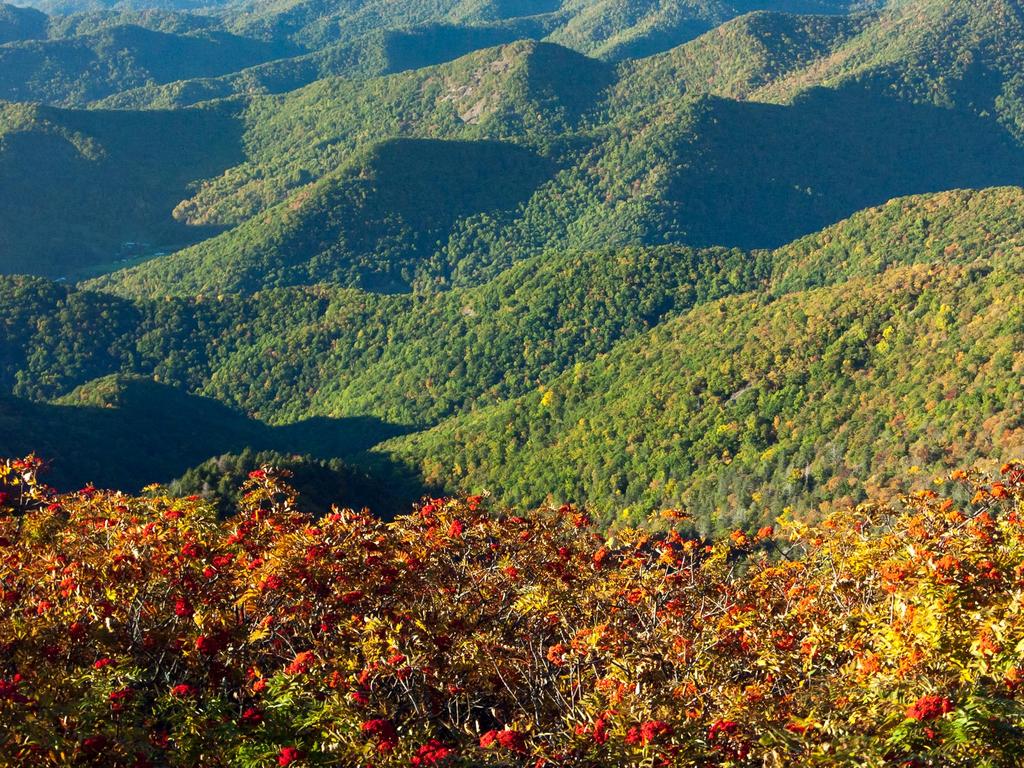 View into the Big Ivy area from the Blue Ridge Parkway in the Great Craggy Mountains