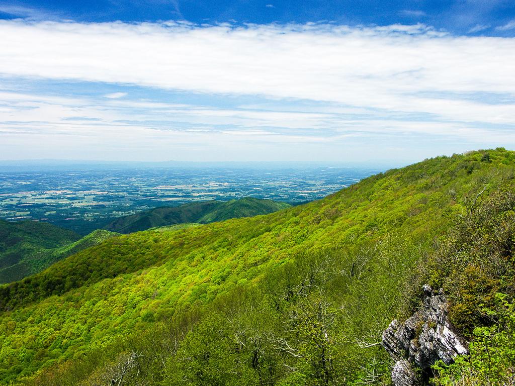 View from Blackstack Cliffs north toward Firescald Knob and the Great Valley region of eastern Tennessee.