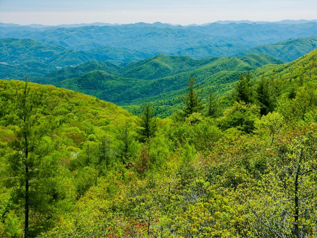 View into North Carolina from the ridge near Big Firescald Knob