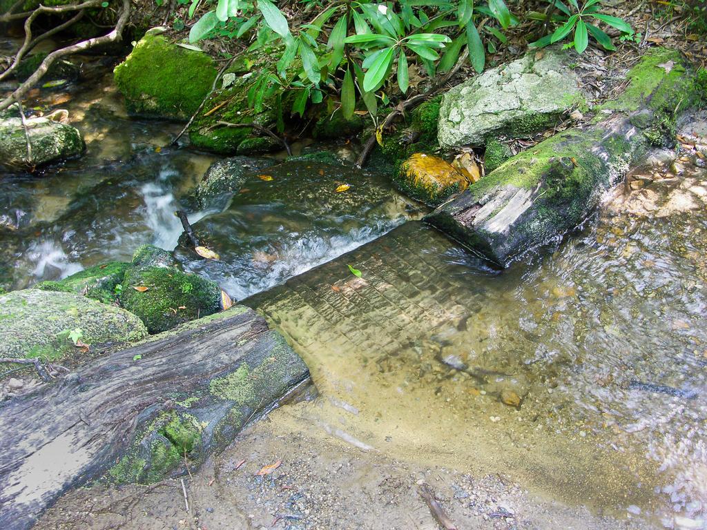 Unique erosion control structures on the Pink Beds Loop trail.