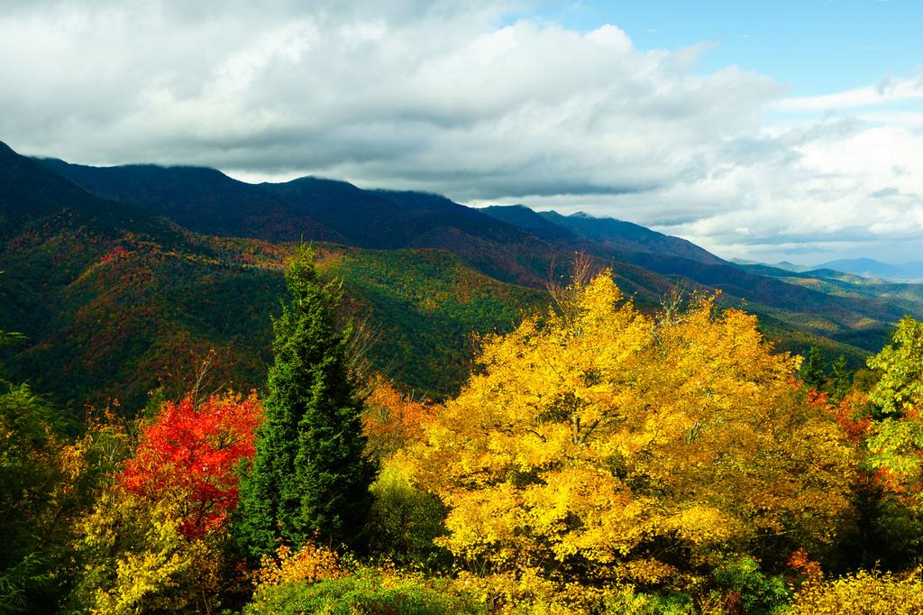 Black Mountains in Fall Color