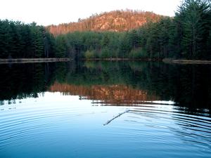 Lake Dense
