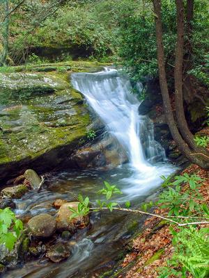 Right Fork Cascade Right Fork Cascade