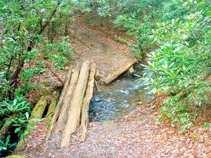 Log Bridge Log Bridge