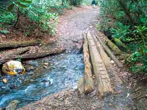 Log Bridge on the Daniel Ridge Trail Log Bridge on the Daniel Ridge Trail