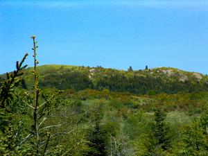 View of Black Balsam Mountain