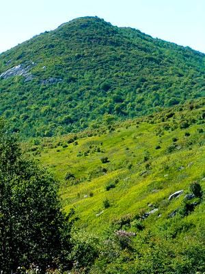 Fields Below Sam Knob