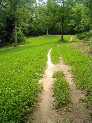 Through the Meadows and Woods