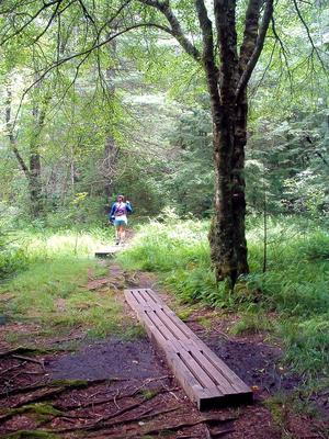 Wet Area Trail Structure
