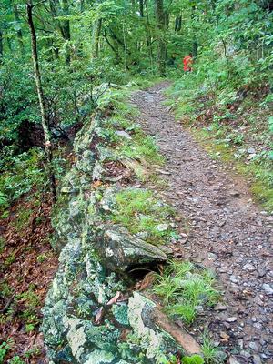 Dry-stacked retaining wall along the trail.