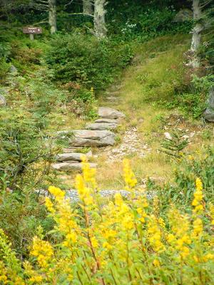 Mountains to Sea Trail Mountains to Sea Trail