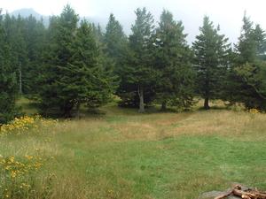 Commissary Ridge Campsite