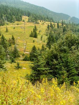 Lower Creek Valley