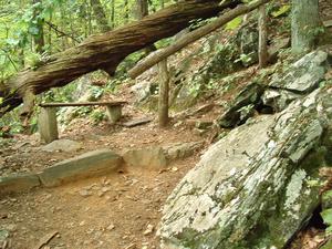 Resting Spot
