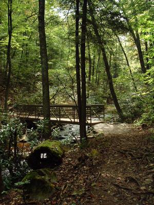 Crabtree Creek Bridge
