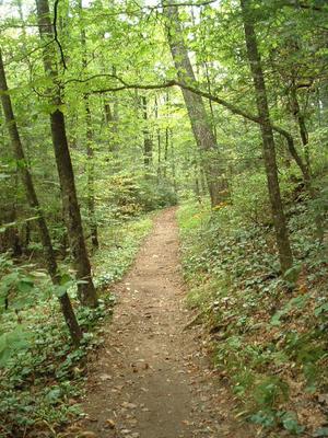 Smooth Trail