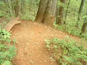 Switchback