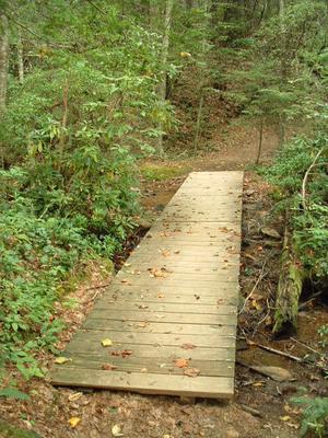 Plank Bridge