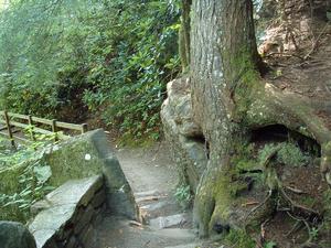 Trail to Upper Falls