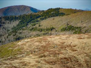 View toward Shining Rock and Cold Mountain View toward Shining Rock and Cold Mountain