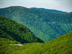 View of Mount Mitchell View of Mount Mitchell