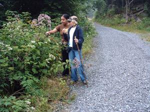 Trailside Snack