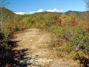 Small Clearing on Pinnacle
