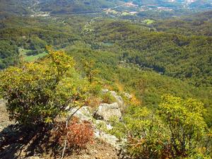 The valley from Pinnacle