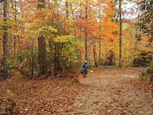 Hiking in Fall Woods