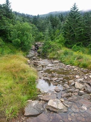 View of the Summit from Lower Creek