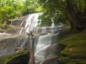 Cove Creek Falls