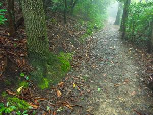 Trail to Hunt-Fish Falls Trail to Hunt-Fish Falls