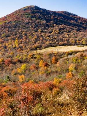 Fall Color Below Sam Knob