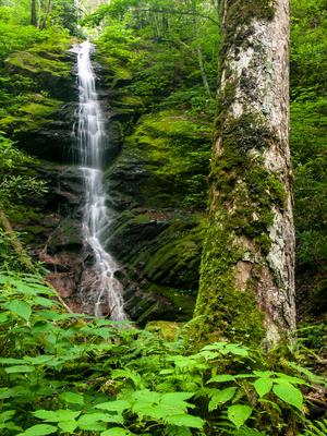 Waterfall on Little Fall Branch