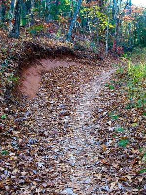 Banked Curve on the Burnt Mountain Trail
