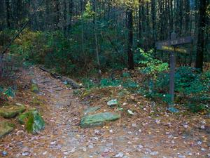 Burnt Mountain Trail Intersection