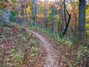 Fall Color and Curve on the Burnt Mountain Trail