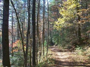 Fall Color on the Burnt Mountain Trail