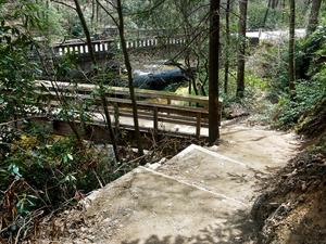 Start of the Moore Cove Falls trail