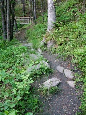 Technical Trail and Bridge Technical Trail and Bridge