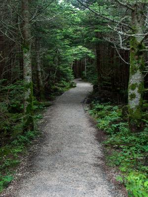 Black Mountains Crest Trail Start
